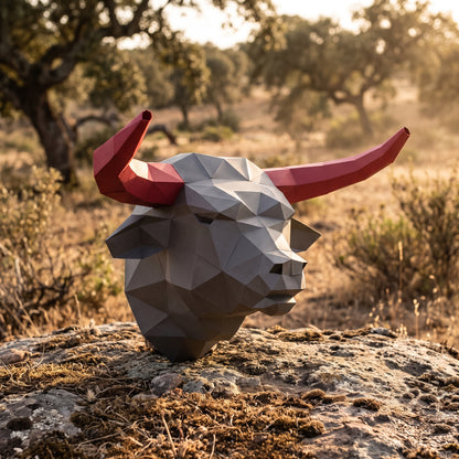 Paper Bull model in nature
