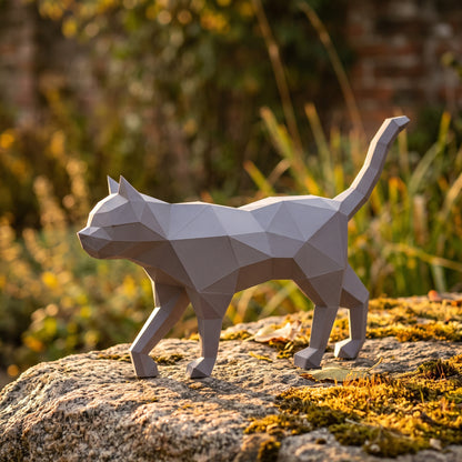 Paper Cat model in nature