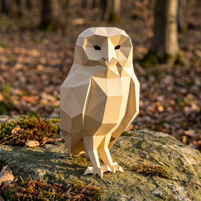 Paper Owl model in nature
