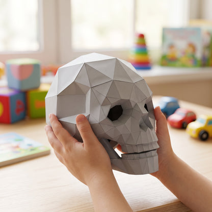 Paper Skull model in a child's hands
